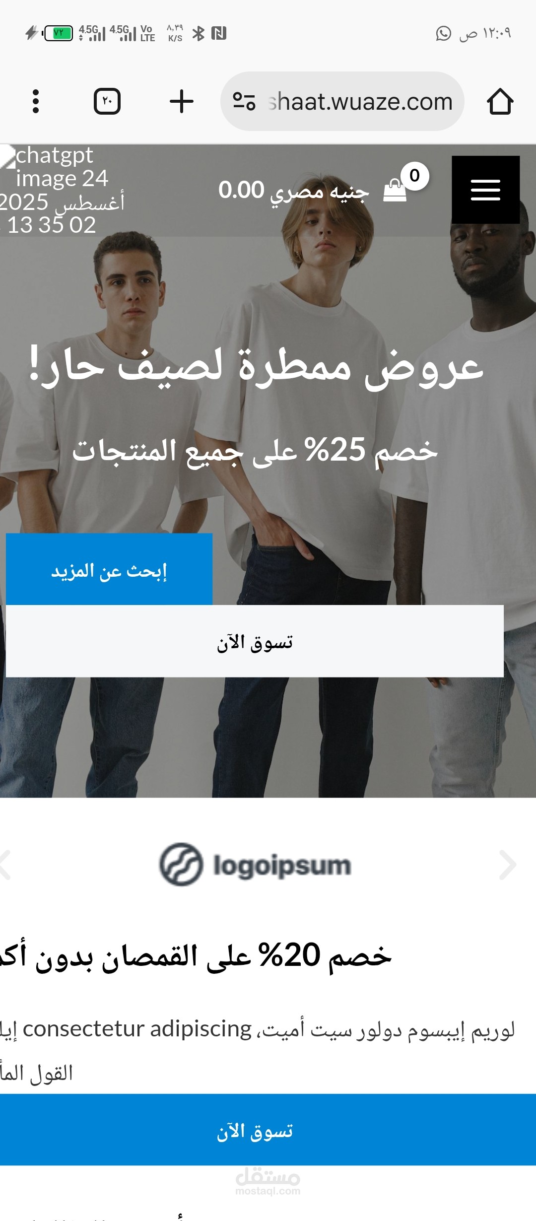 ecommerce website