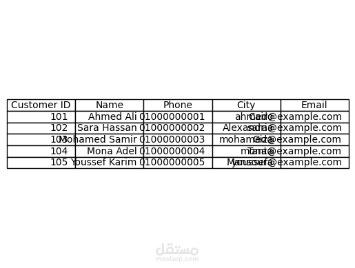 إدخال وتنظيم بيانات العملاء على Excel