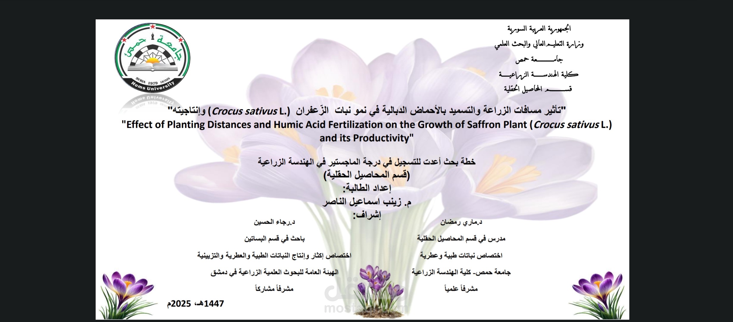 عرض بور بوينت لرسالة ماجستير في جامعة حكومية