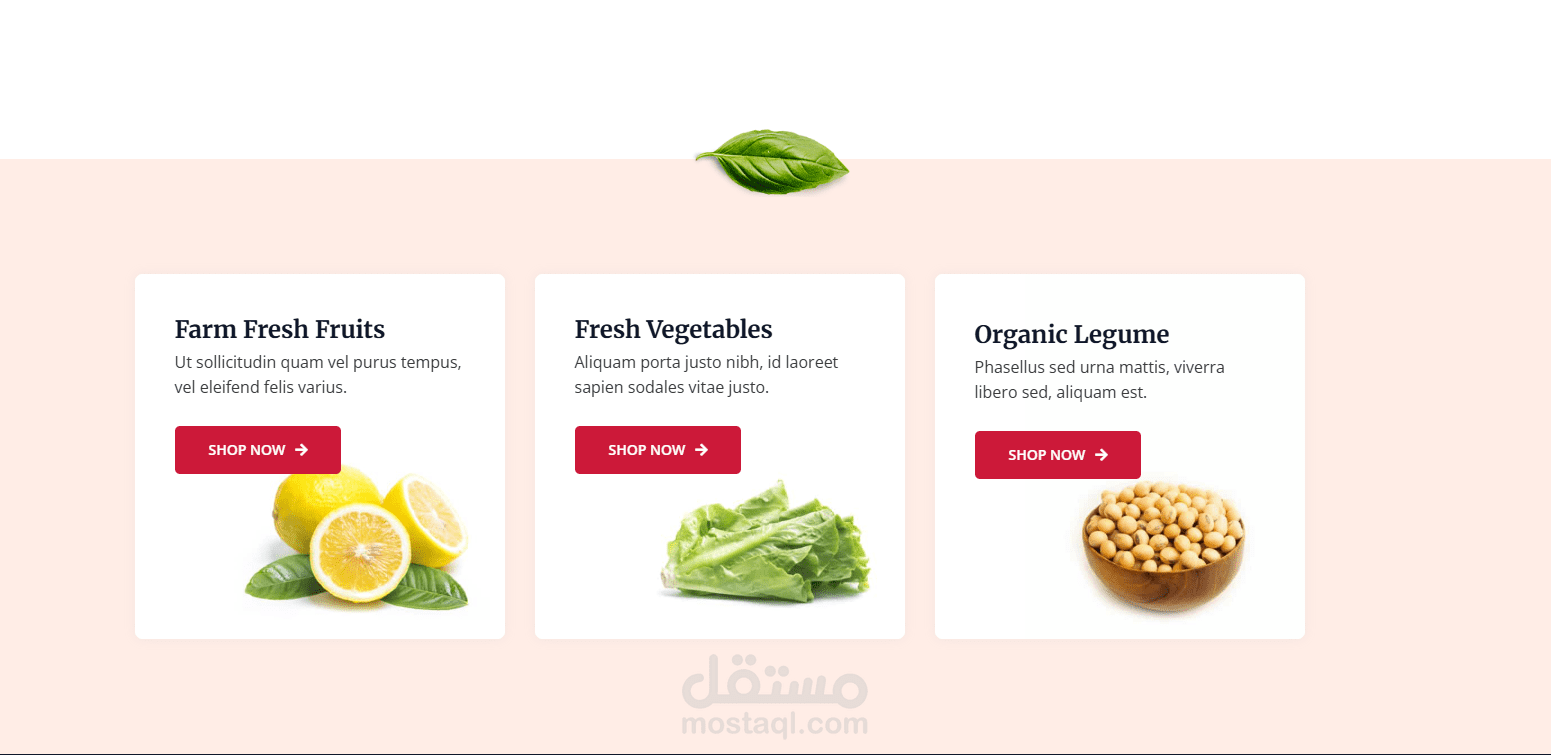 متجر إلكتروني ووردبريس