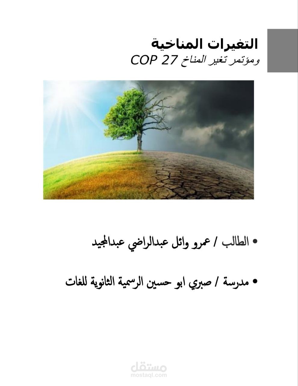 عمل بحث علمي