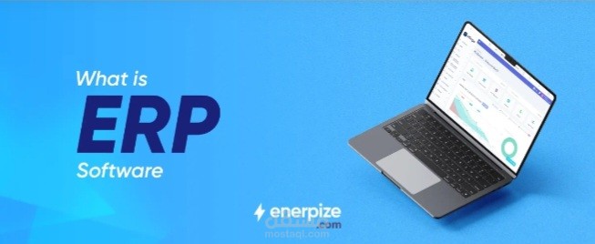 ما هو تخطيط موارد المؤسسات