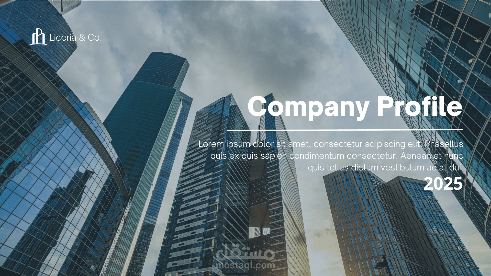 Company profile