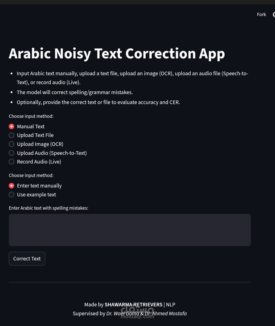 Arabic noisy text correction app
