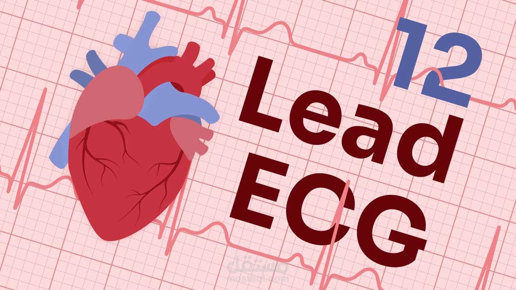 دورة تخطيط القلب