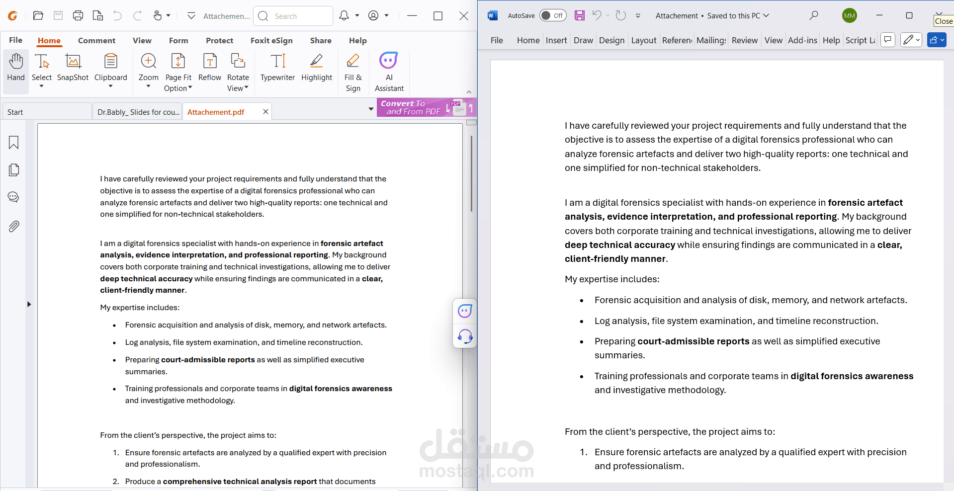 PDF to Word Converstion