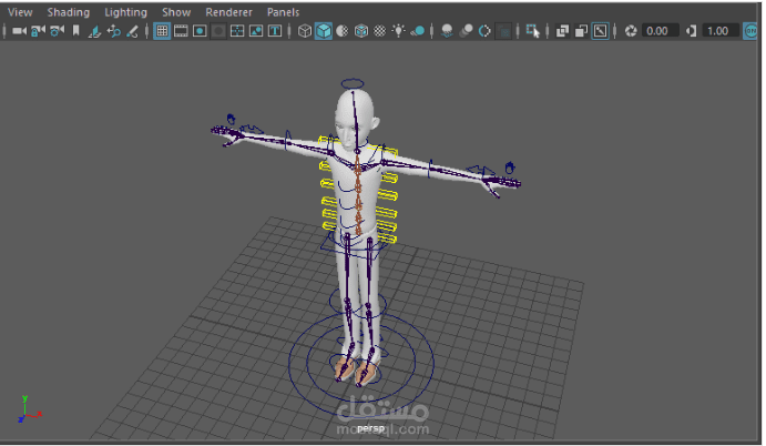 3D Character Rigging