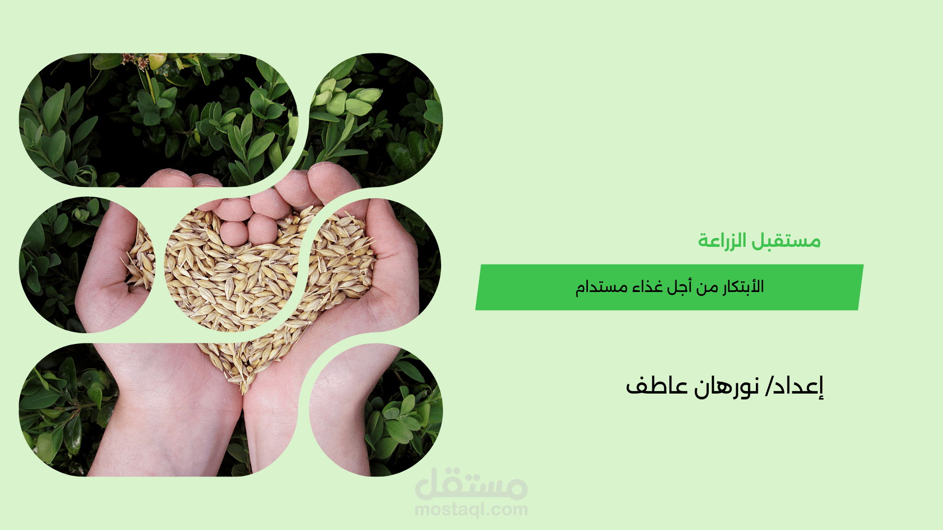 عرض تقديمي