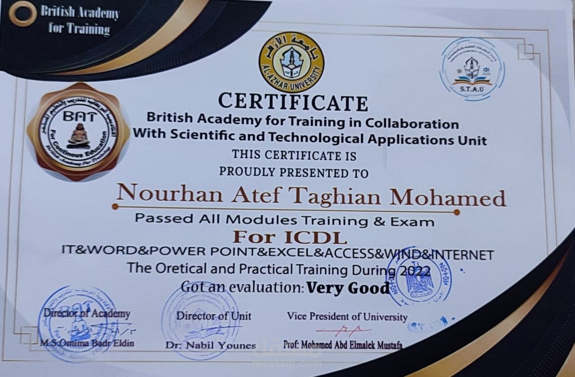 الرخصة الدولية لقيادة الحاسب الآلي(ICDL)