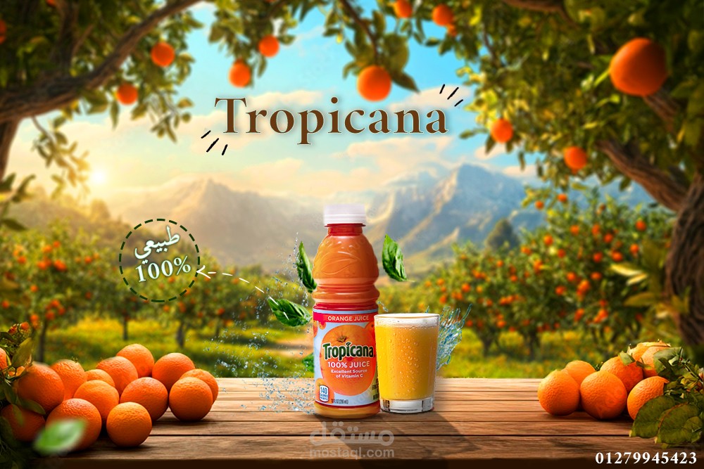 Tropicana Orange Juice Product Design (Concept Project)