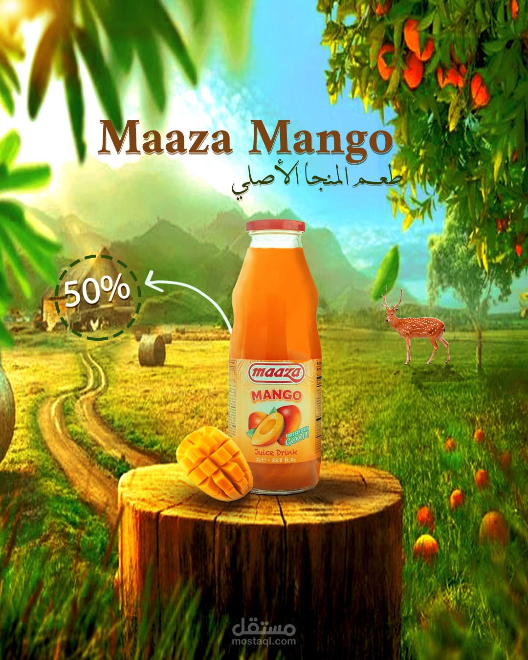 Mango Juice Product Design (Concept Project)