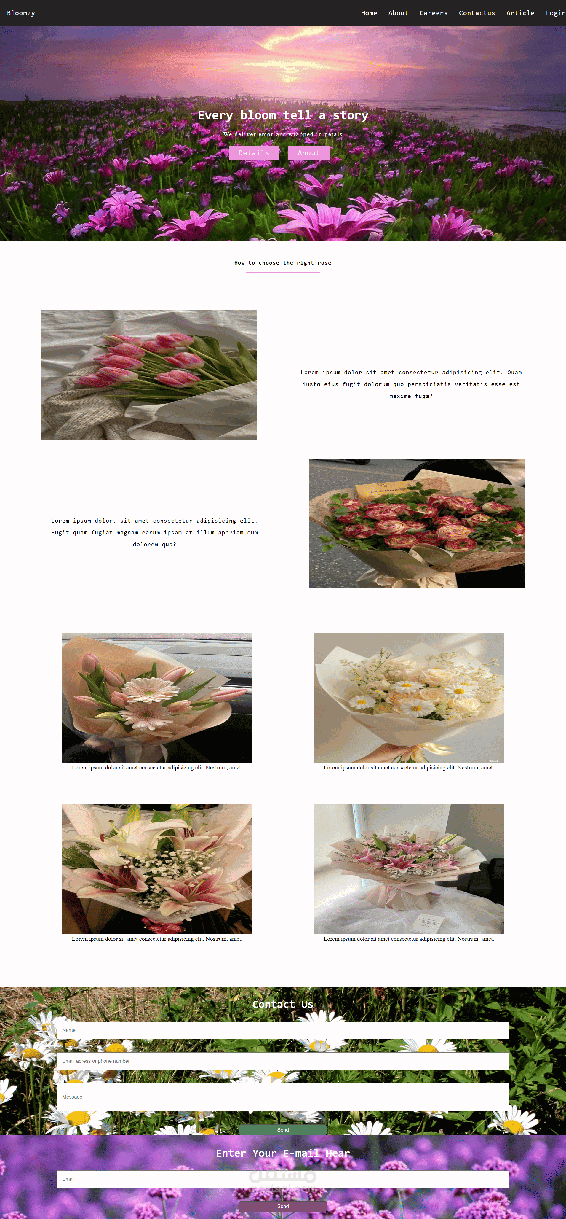 Bloomzy