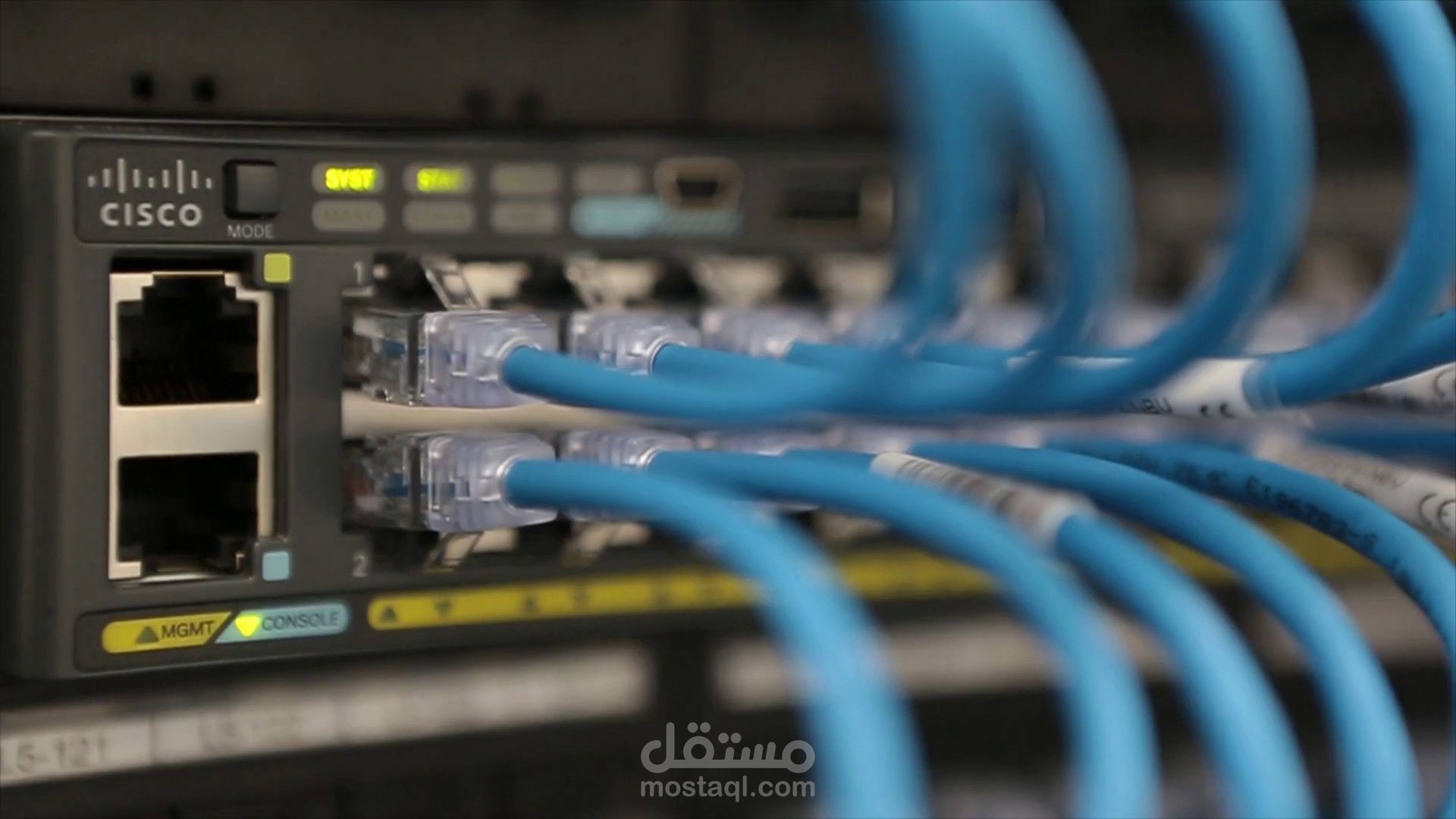 محاكاة شبكات مع إعداد VLANs وTrunking باحترافية