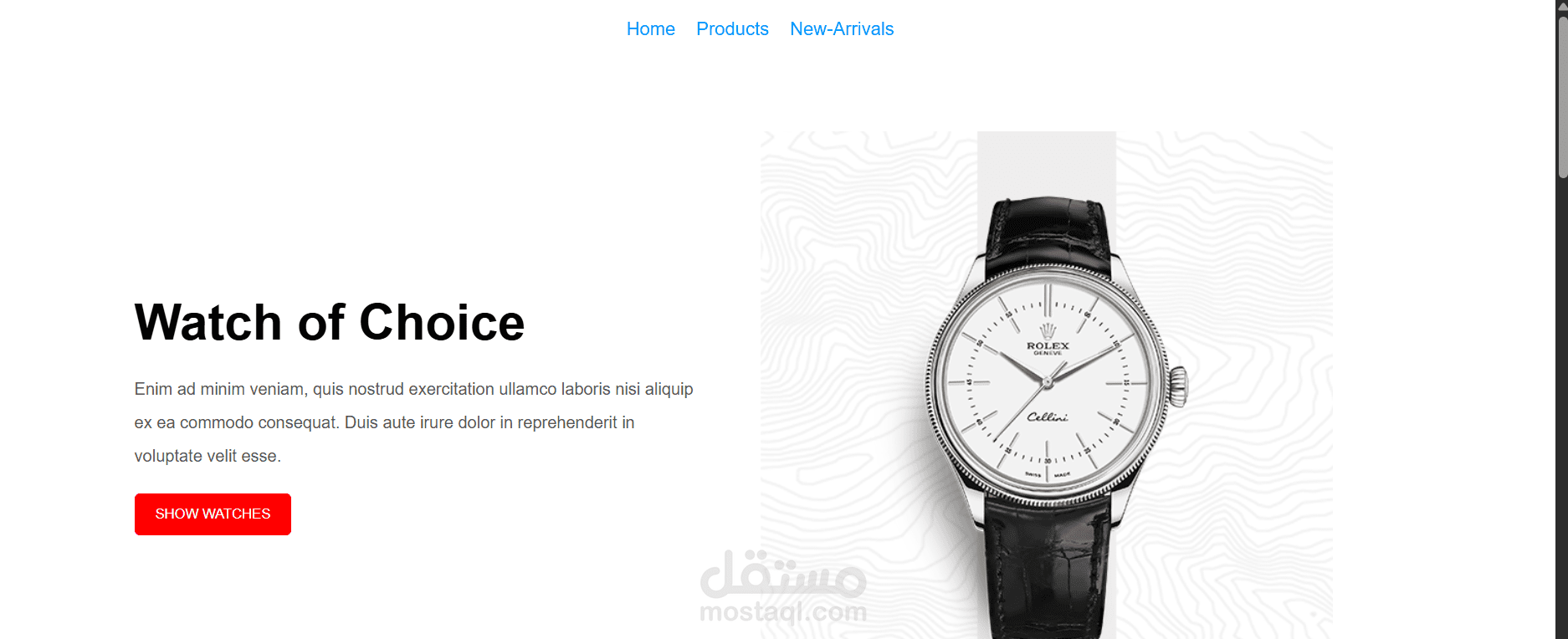 تصميم صفحة هبوط متكاملة لعرض خدماتك باحترافية Landing Page-Watch Website