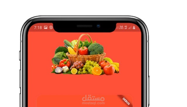 e-commerce mobile application