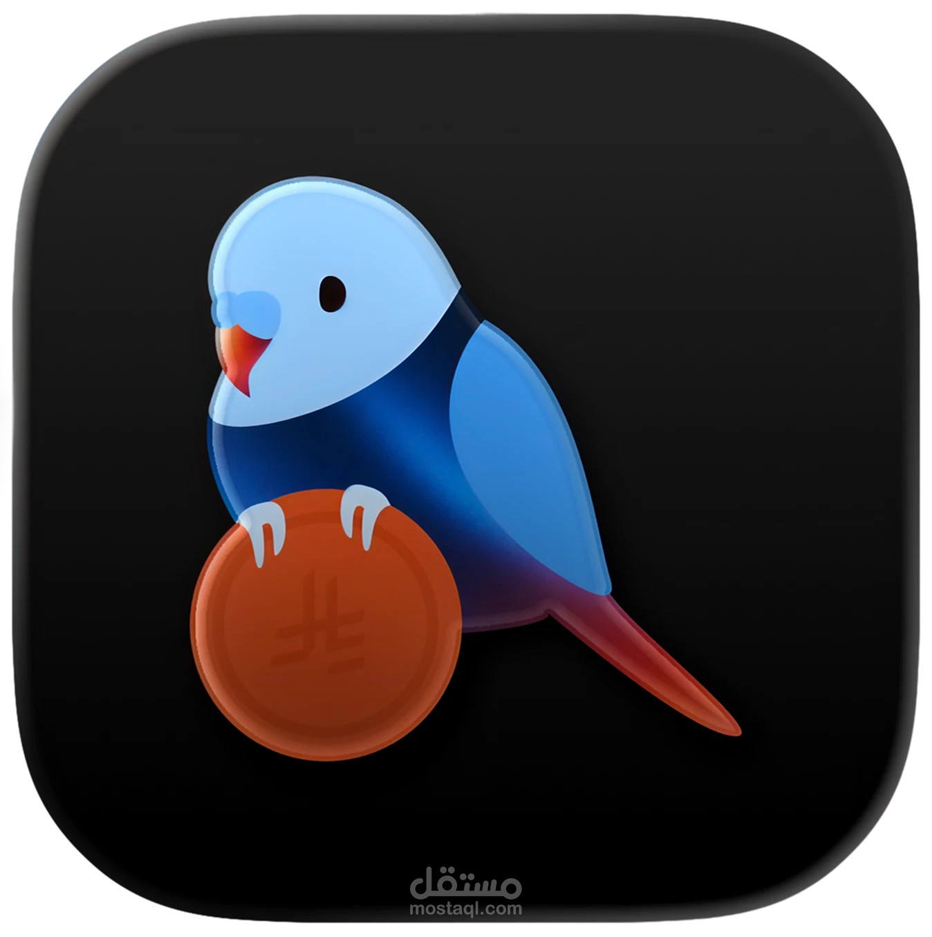 Budgie