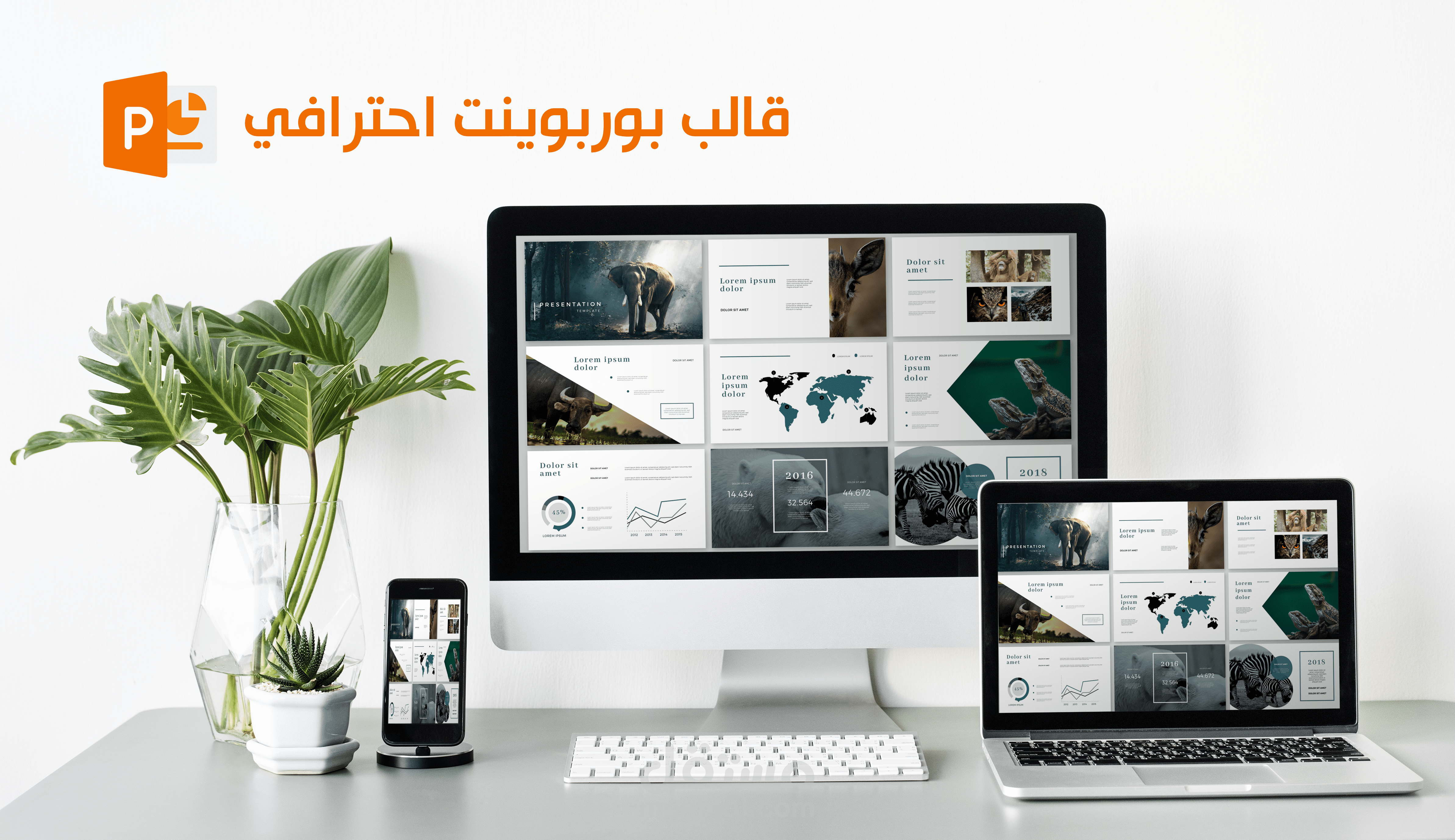 قالب بوربونيت خرافي وفريد بموضوع (الحيوانات)