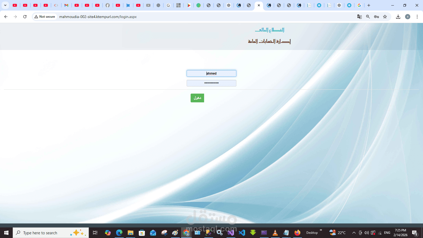 تصميم وتطوير موديول الحسابات من الصفر ضمن نظام ERP لشركة مقاولات كبرى متعددة الفروع