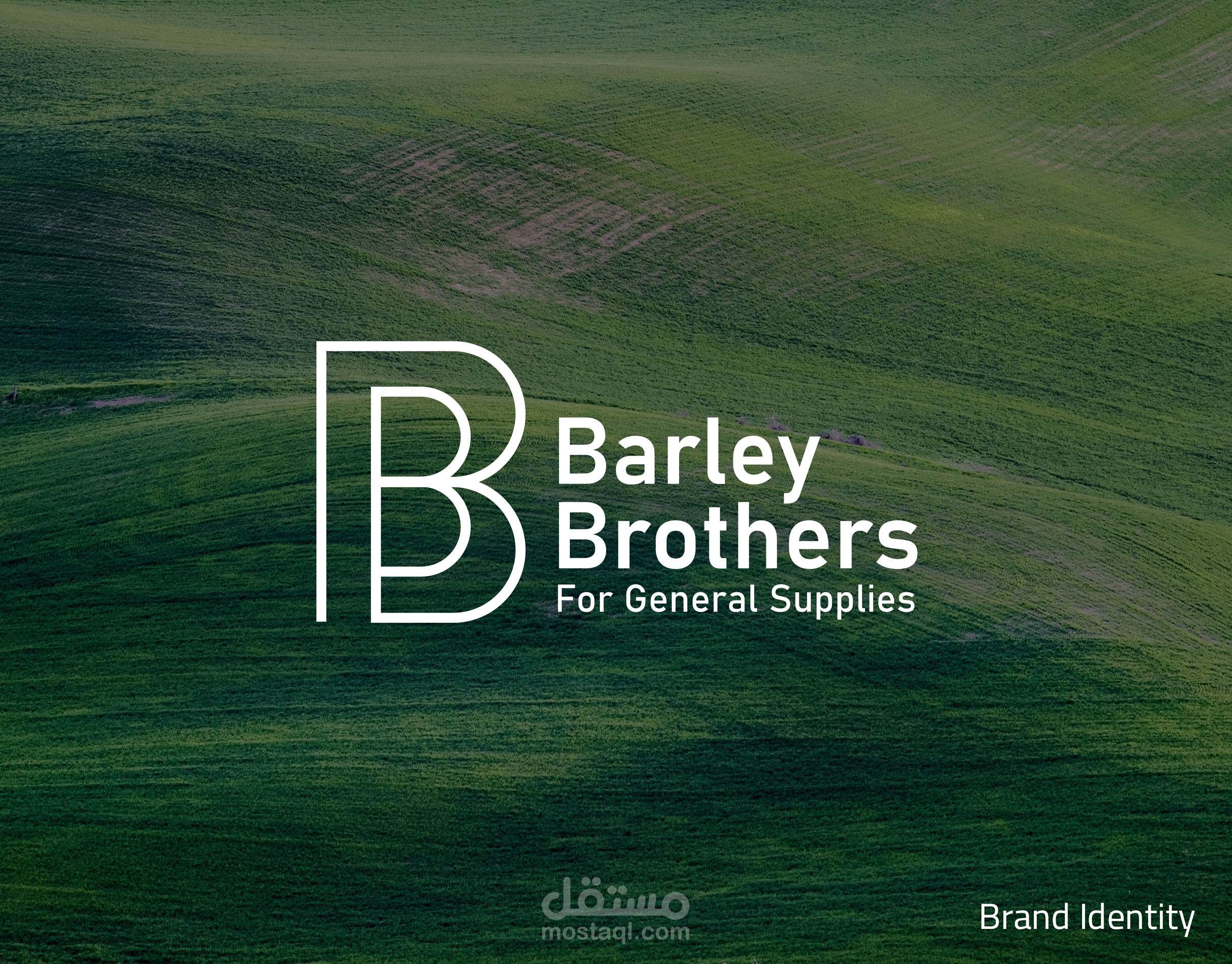 Barley Brothers - visual identity