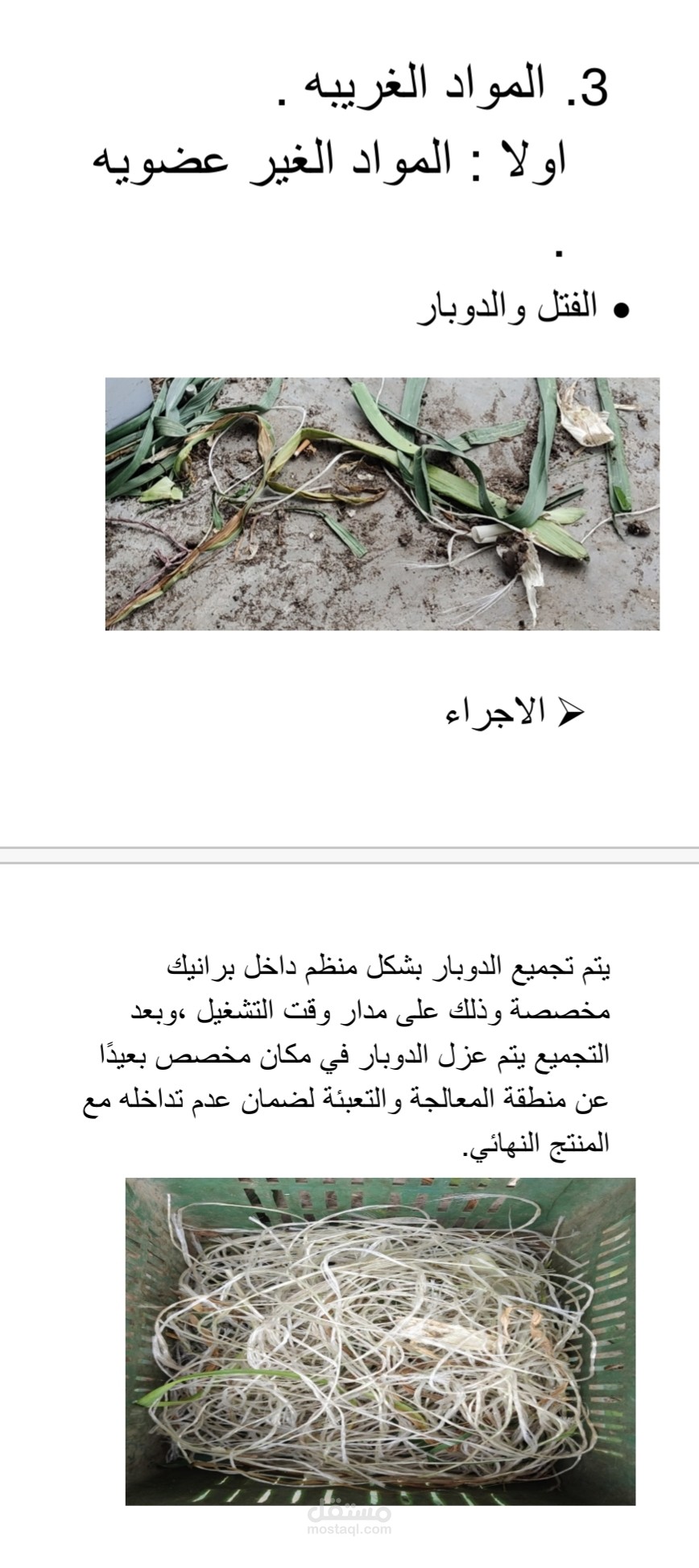 تقرير مراقبة الجودة – عملية تقشير الكرات