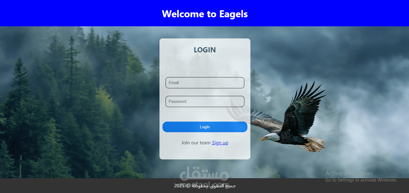 E-commerce website