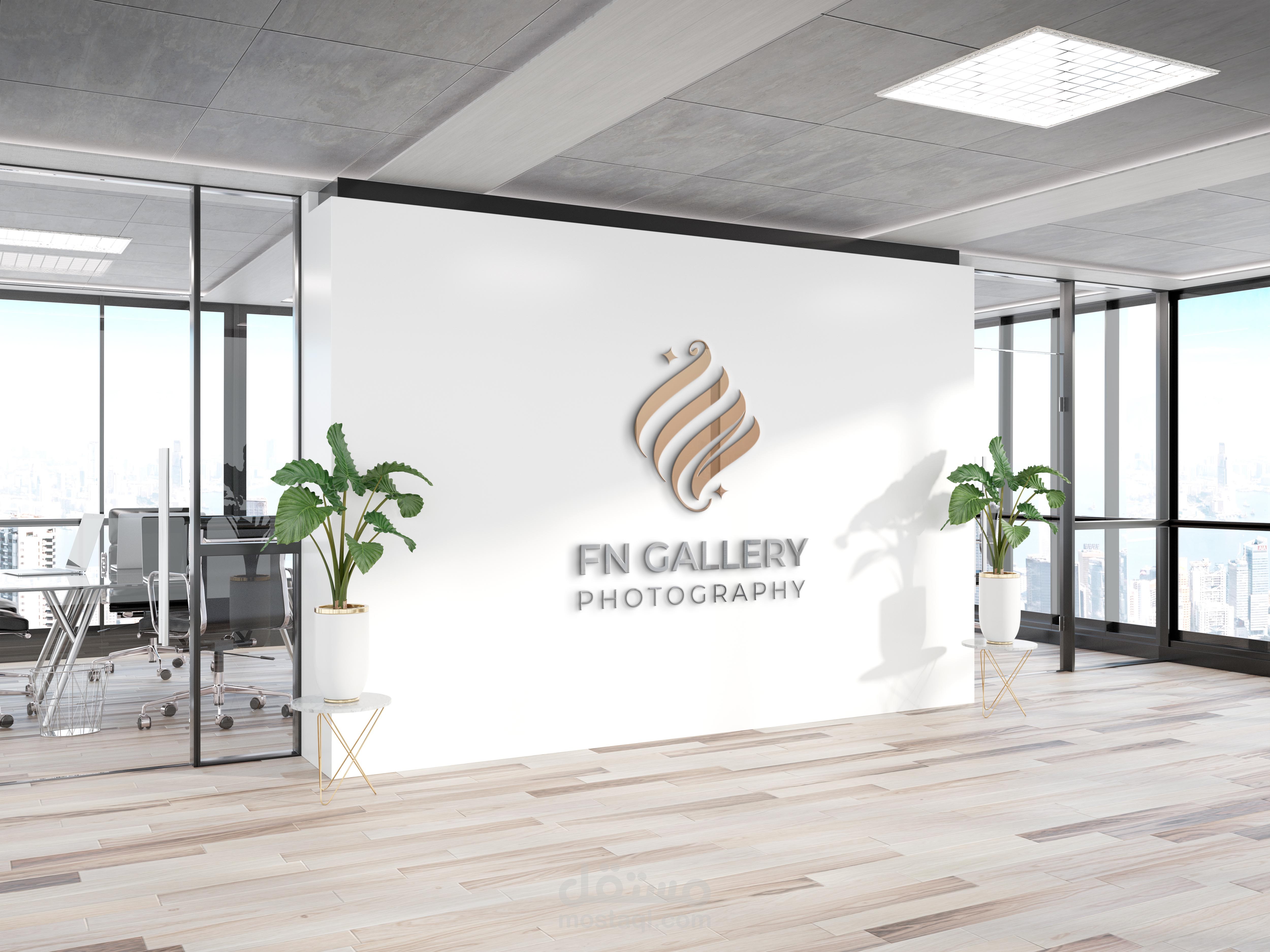 شعار FN Gallery