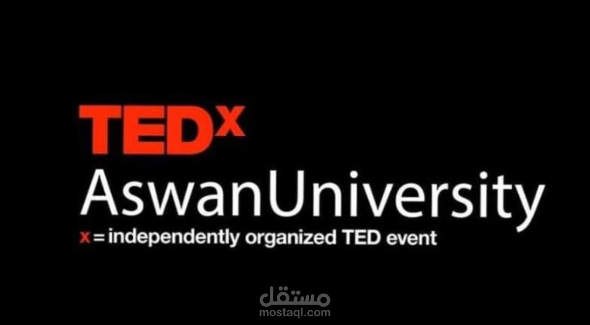 TEDx Strategic Project Plan – VP Application