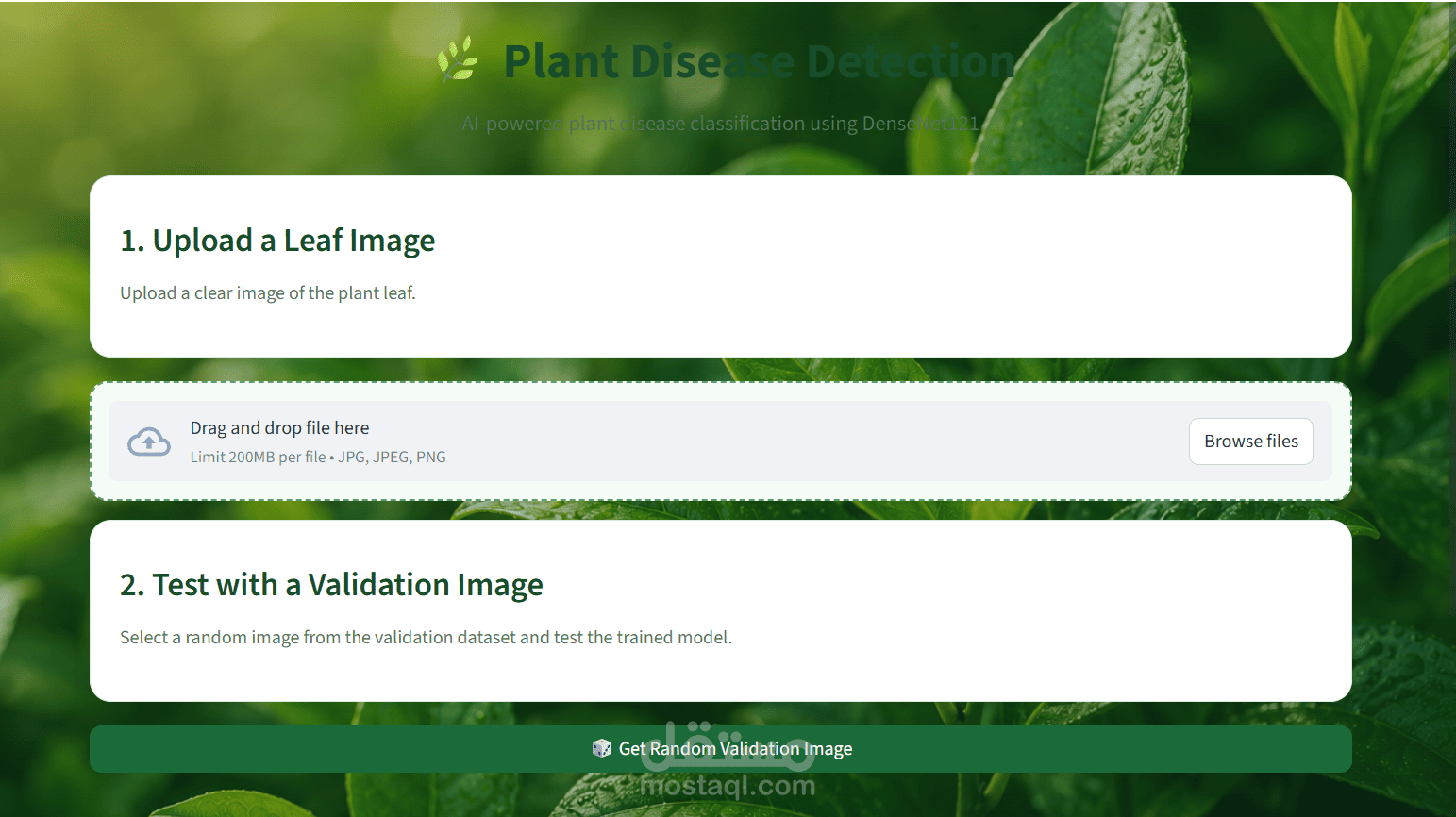 Plant Disease Detection using Computer Vision & Deep Learning