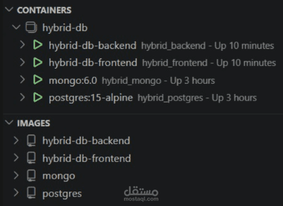 نظام إدارة قواعد بيانات هجين (Enigma) باستخدام Docker