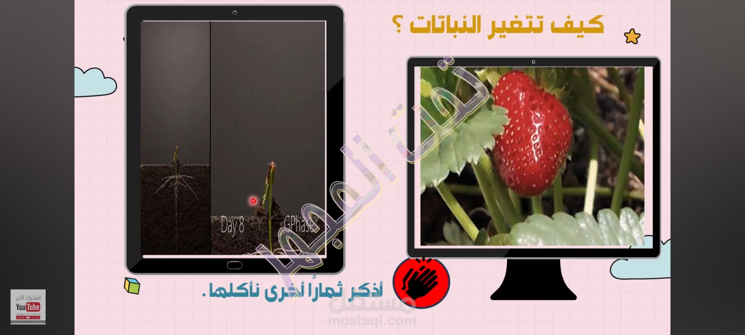 شرح كيف تتغير النباتات للصف الأول الابتدائي