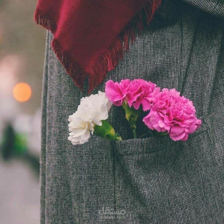 مونتاج