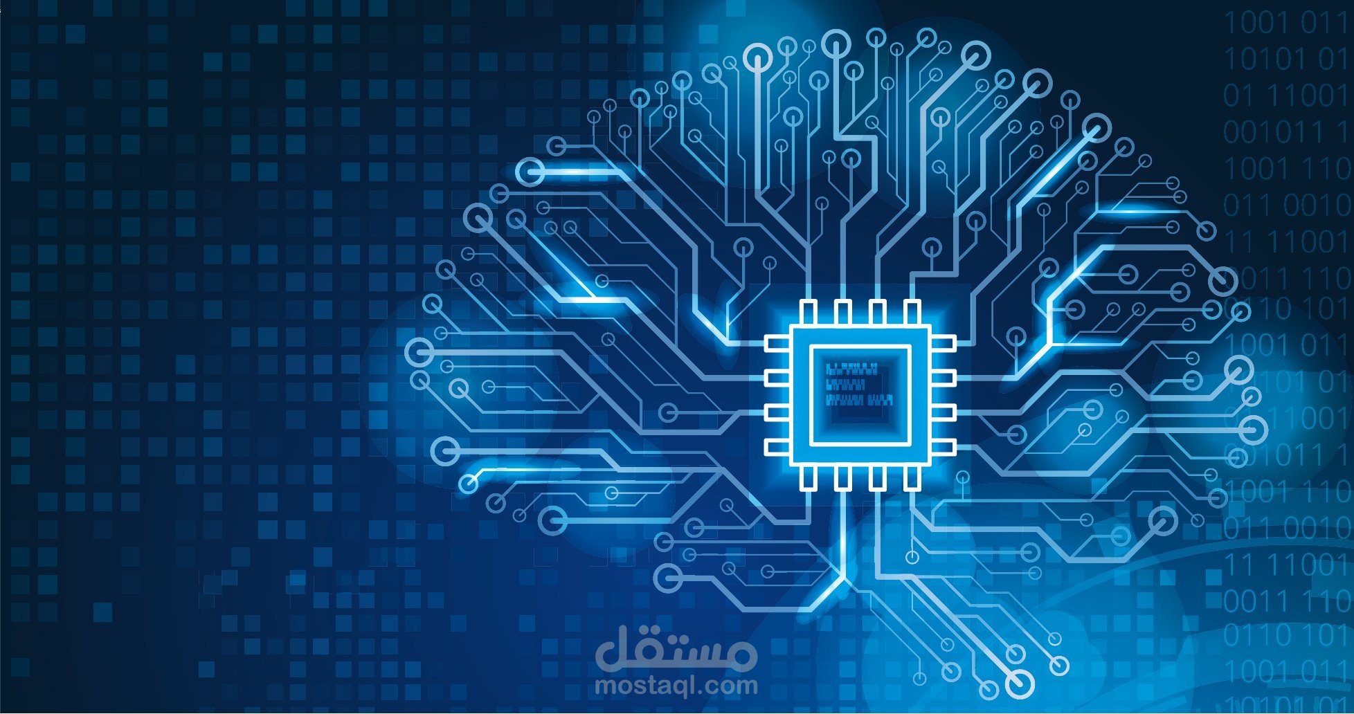 معلومات عن أنواع مختلفة من البطاريق