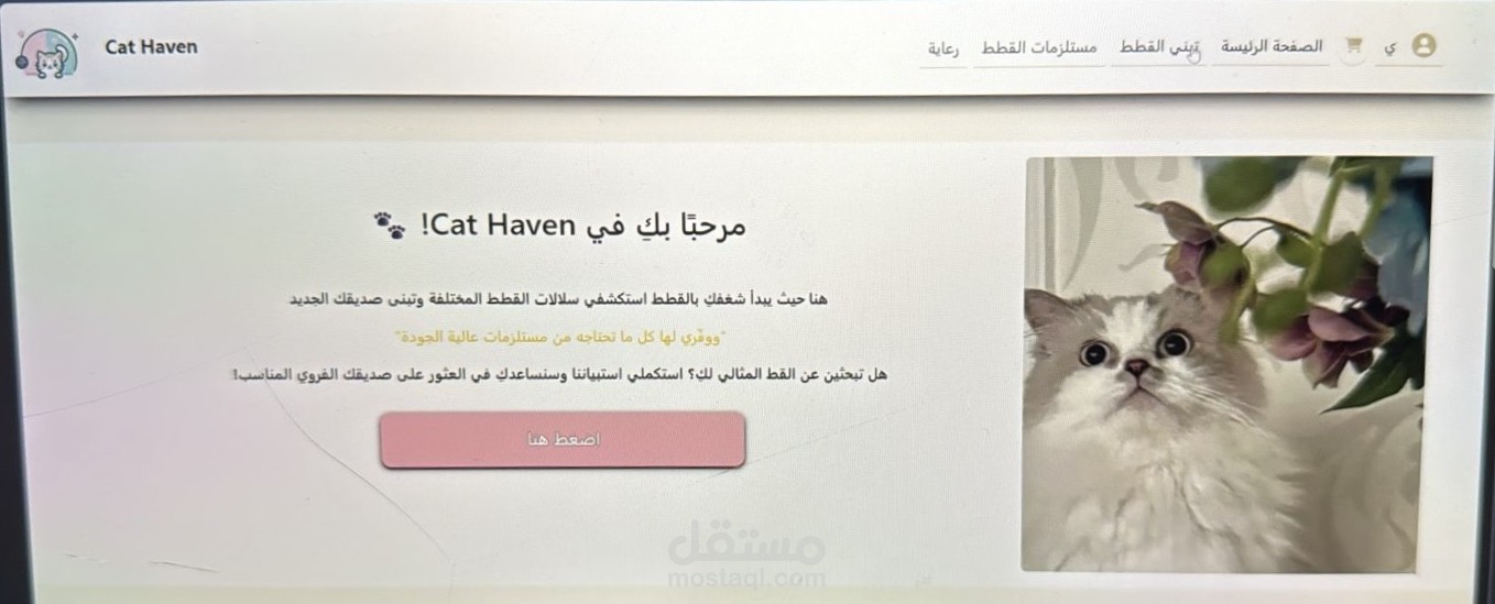 موقع قطط