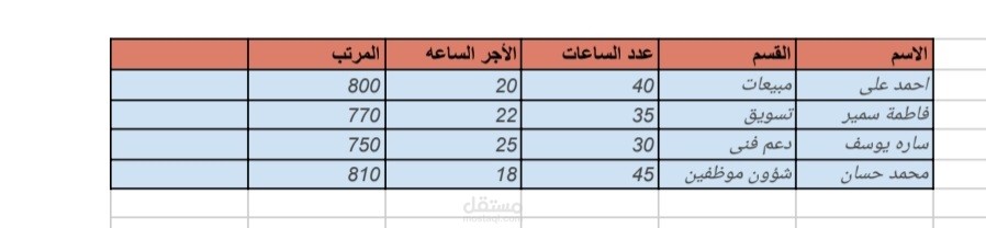 إدخال بيانات على ايكسل