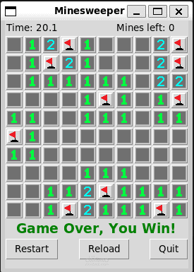https://github.com/MMarzoo/minesweeper