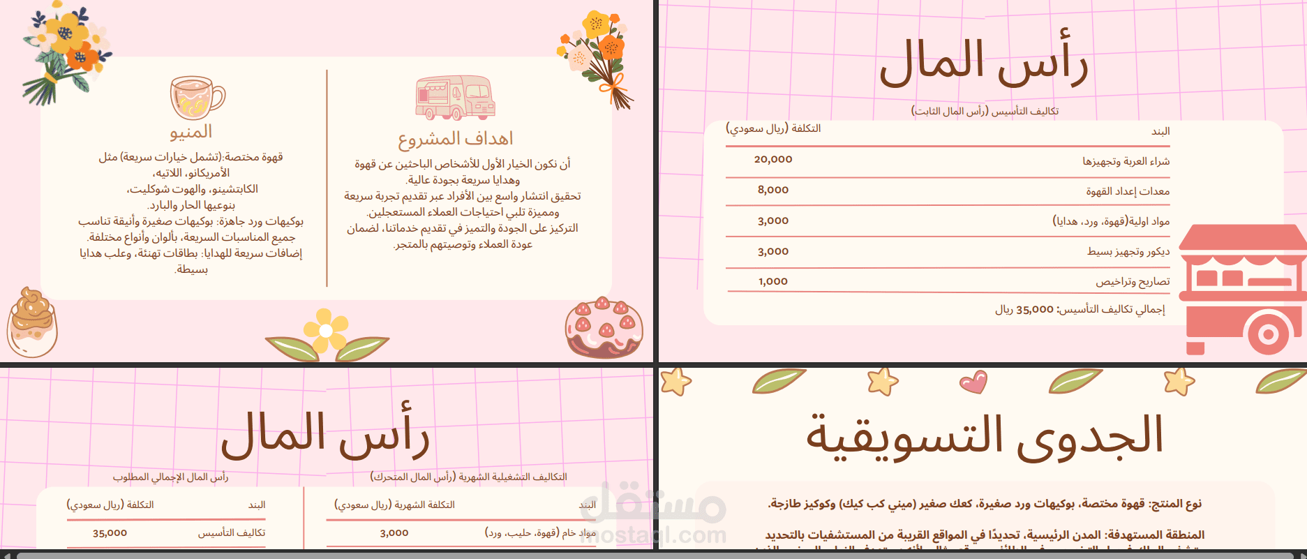 دراسة  جدوى