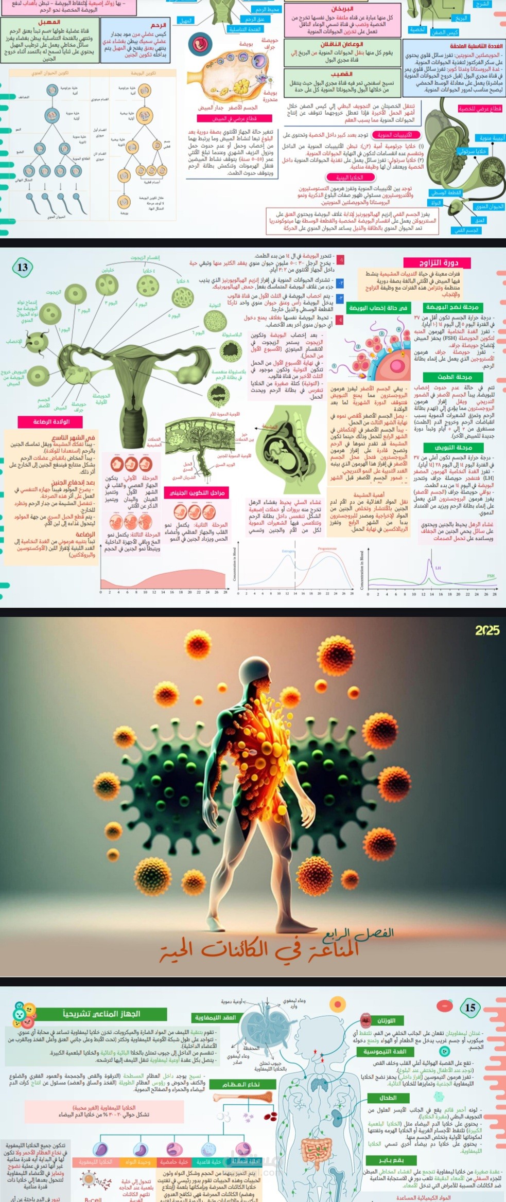 ملخص للمنهج
