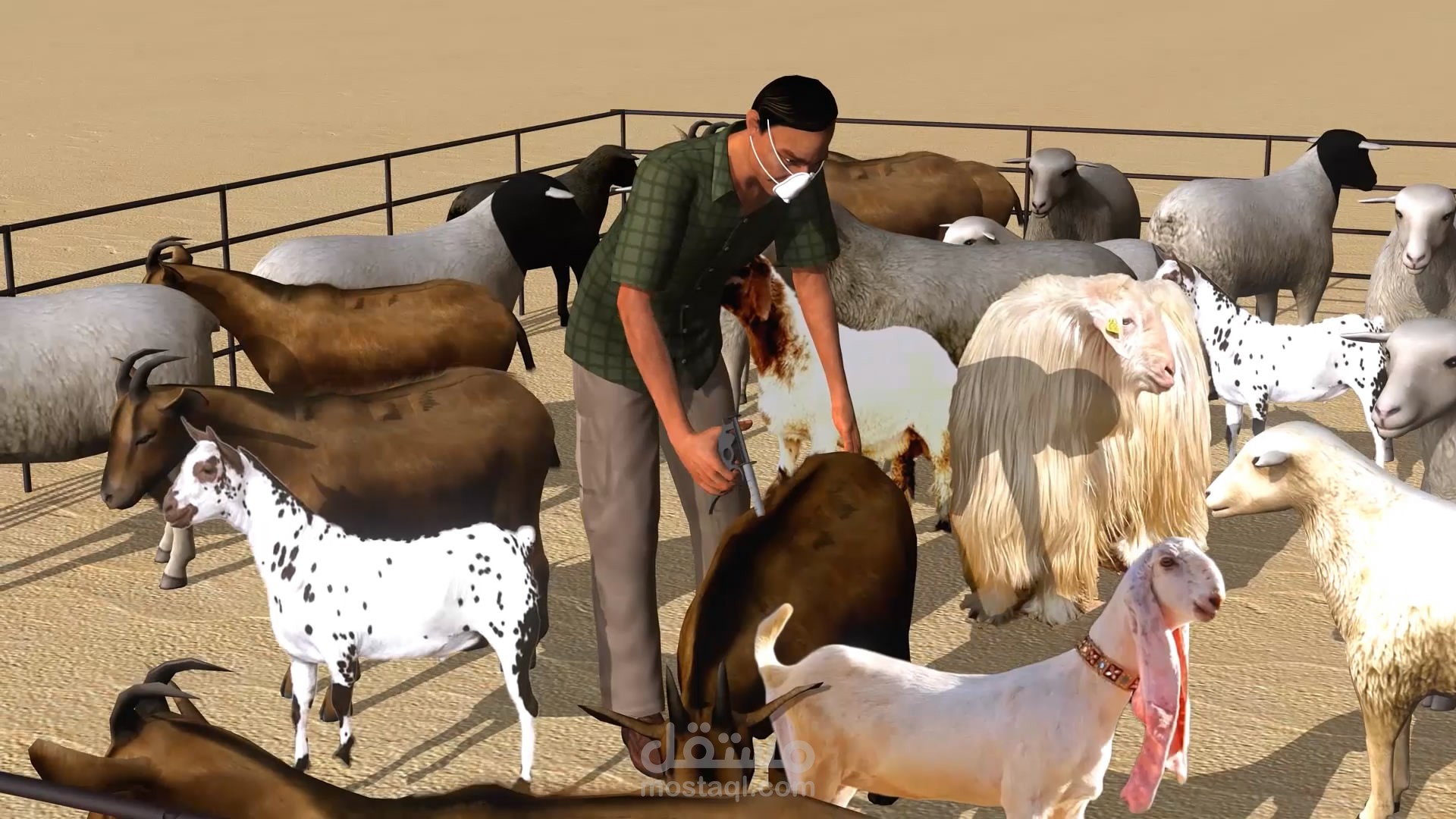 اعلان تطبيق البيرق 3D