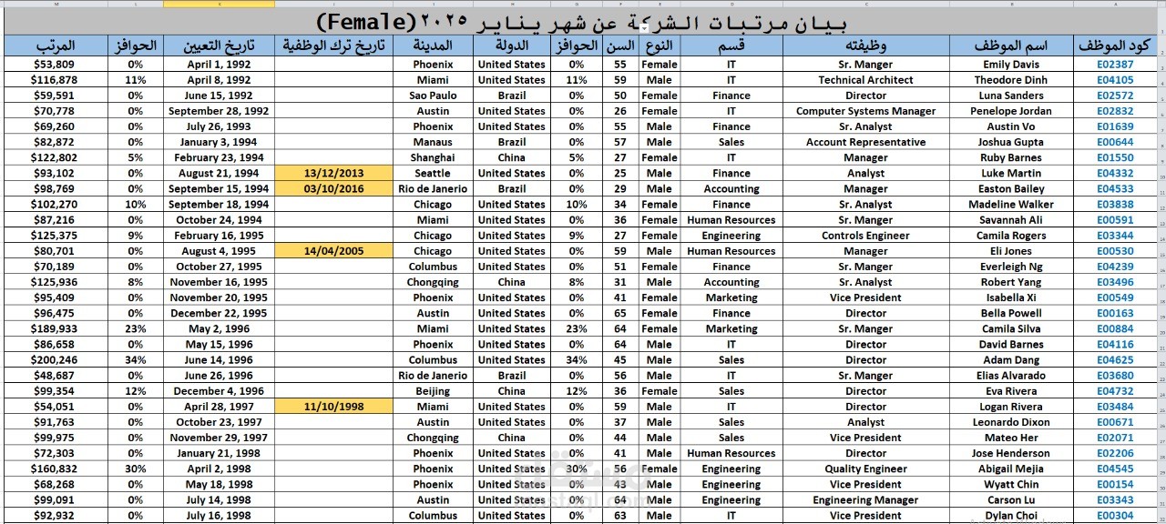 بيان بمرتبات شركة عن شهر يناير 2025
