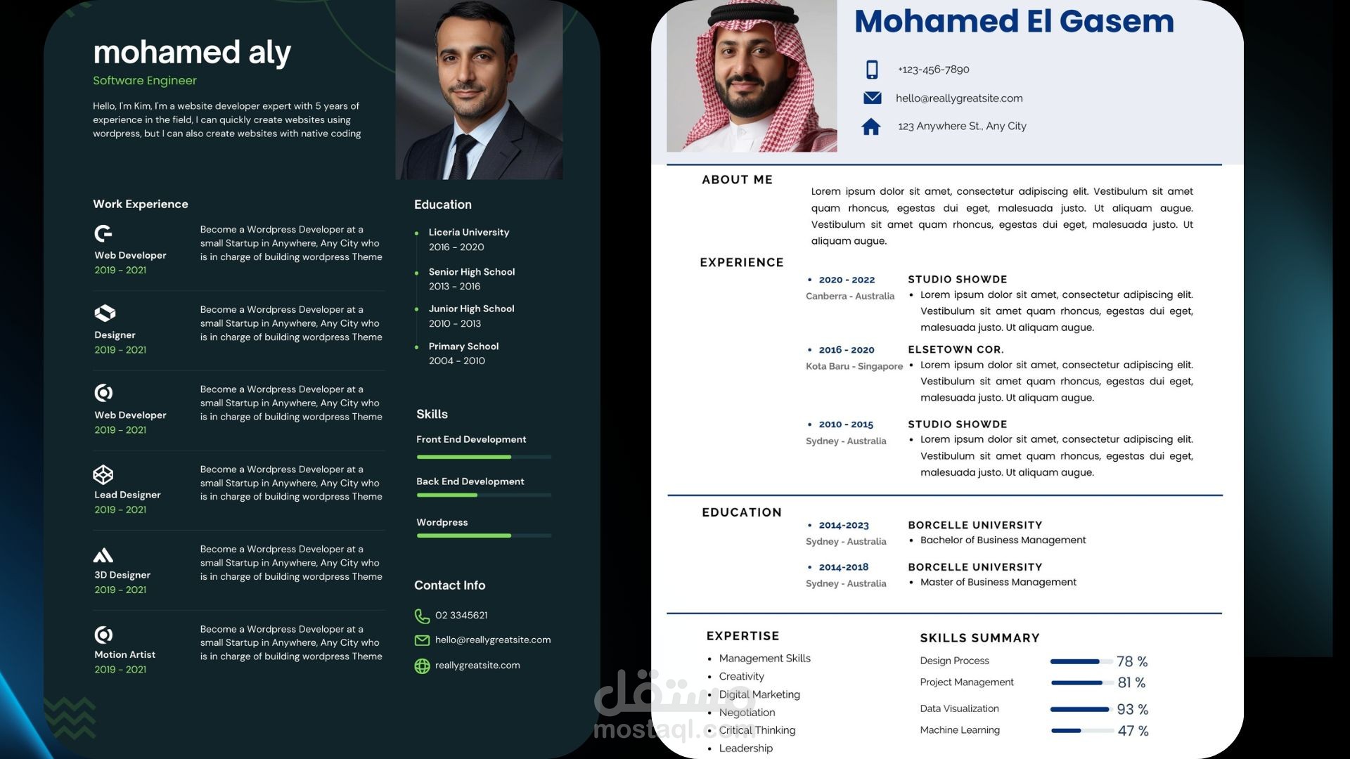 تصميم سيرة ذاتية (CV) احترافية  - Professional CV Design