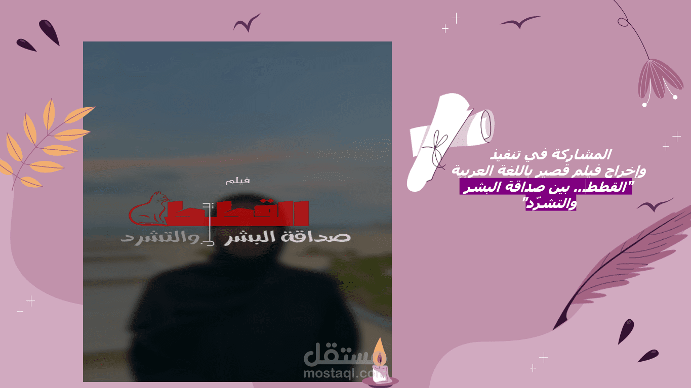 المشاركة في مسابقة صنع فيلم قصير باسم (القطط..بين صداقة البشر والتشرد)