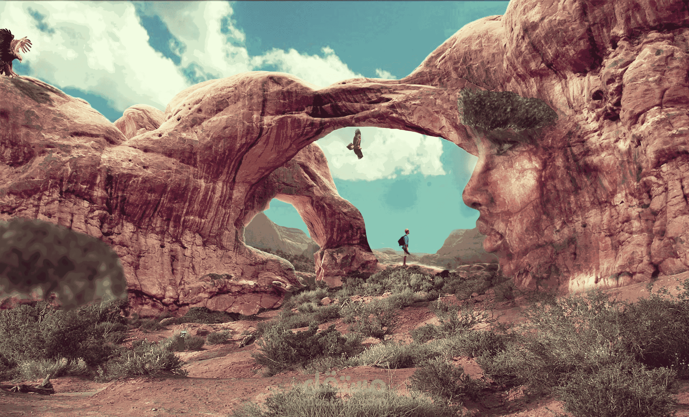 وجه الطبيعة – انسجام الإنسان مع الأرض