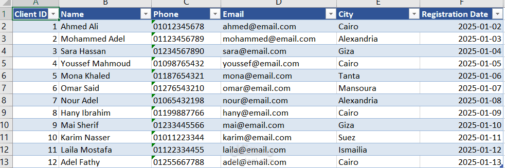 إدخال وتنظيم بيانات العملاء باستخدام Excel