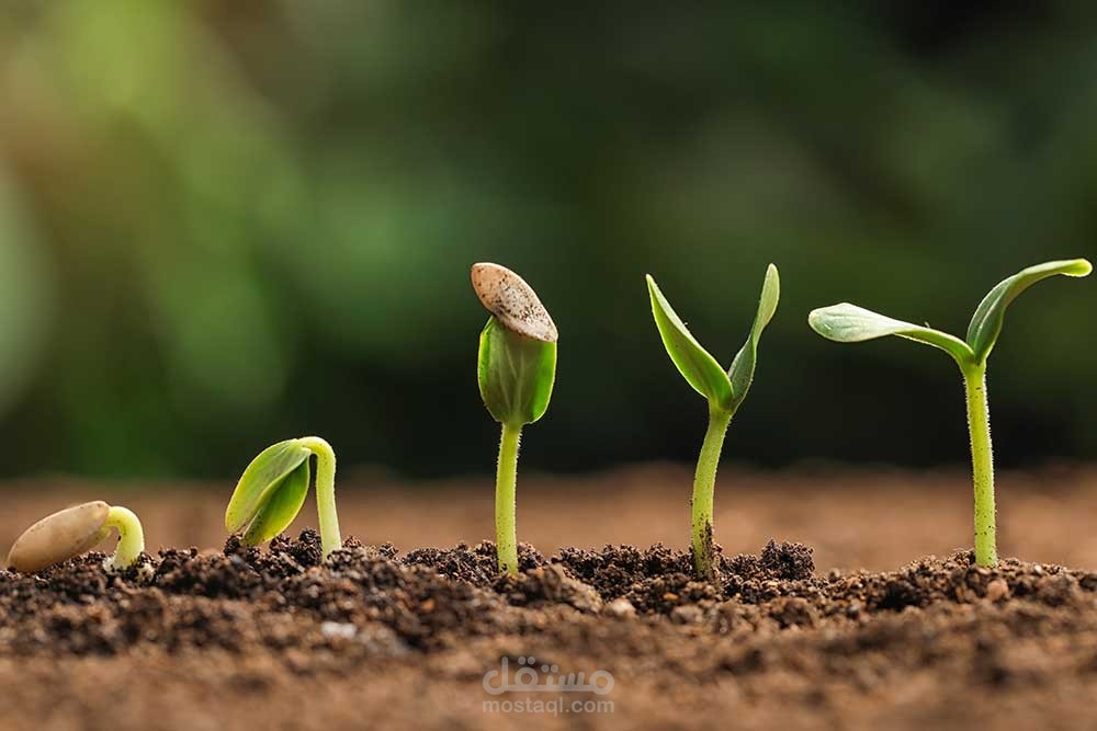 فيديو تحفيزى بعنوان The seed