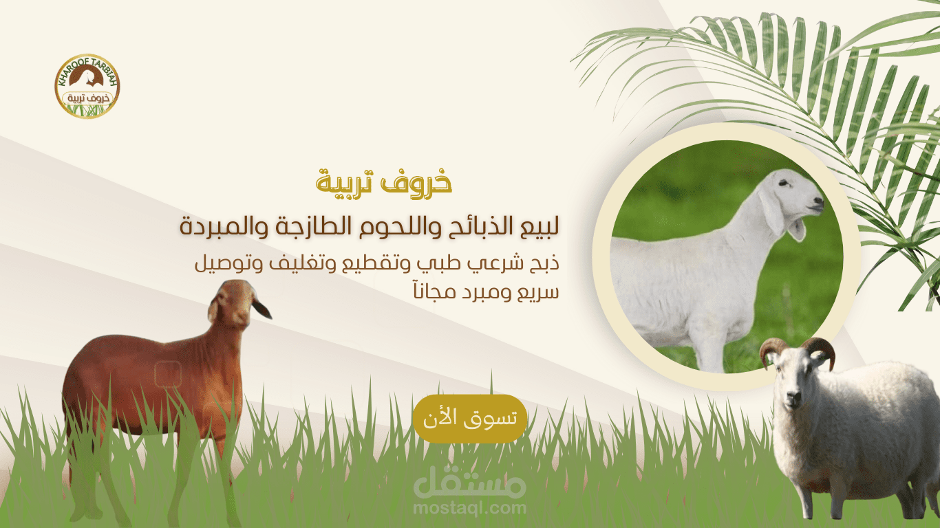 تصميم وتنسيق واجهة المتجر