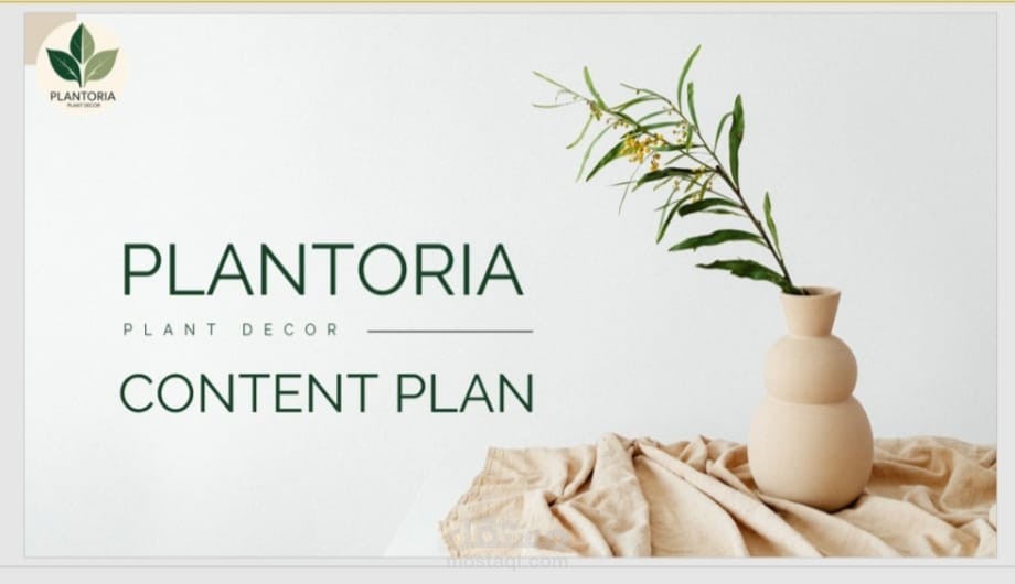 خطة تسويقية لبراند نباتات