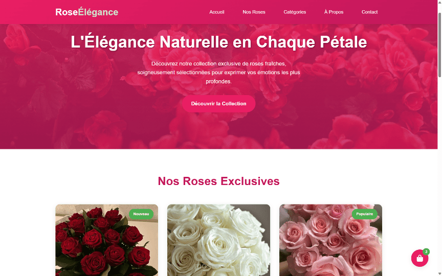 Site Web Boutique