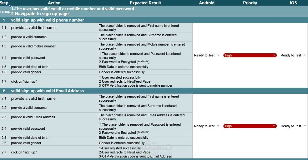 Manual Testing اختبار برمجيات