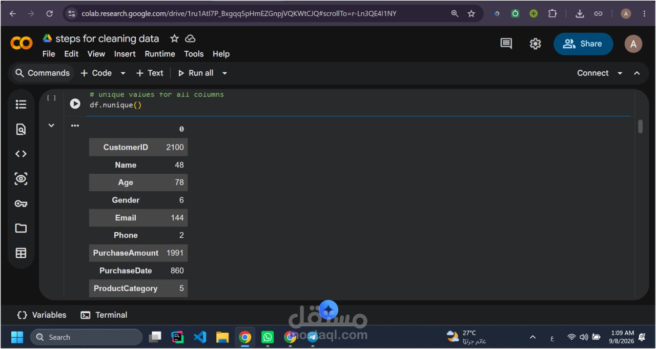 تحليل وتنظيف بيانات العملاء باستخدام Python