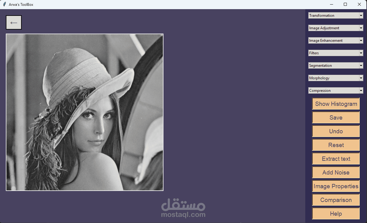 Image Processing Toolbox